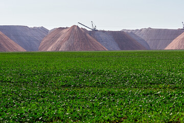 Extraction of potassium salt. Waste heaps near mines