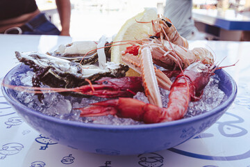 Raw fish and shell fish plate in Puglia