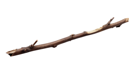 Natural wooden branch isolated on a white background, showcasing its rustic texture and unique shape.