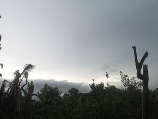 nature background