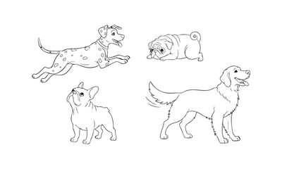 Group of Dogs with Different Breeds Drawing