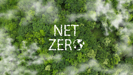 Net Zero: A Natural Environment and Carbon Neutrality Concept Hand in Hand for Net Zero Emissions...