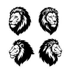 hand drawn lion head vector illustration