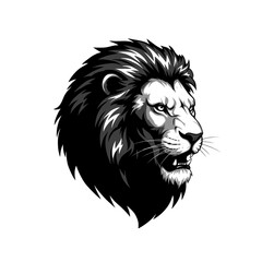 hand drawn lion head vector illustration