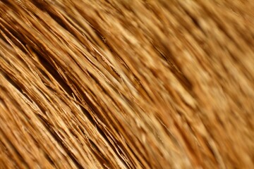Close-up of a seamless broom texture, showing the arrangement of natural fibers.
