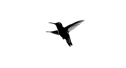 Obraz premium Elegant Hummingbird Silhouette A Black and White Bird Illustration