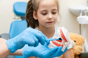 Wandcirkels Tandarts Female dentist teaches a little girl how to brush her teeth properly with jaw model and toothbrush. The concept of oral care. concept of dentistry. children's dentist. plasma structure of the jaw  © Irina Mikhailichenko