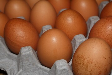 Carton of Brown Eggs Fresh, Natural, and Ready for Cooking and Baking