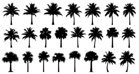 A collection of simple black silhouette palm trees in various shapes and sizes.