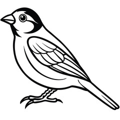 Obraz premium Hand-drawn vector illustration of a wild bird, like a crow or bullfinch, perched on a winter branch, showcasing its silhouette and detailed feathers