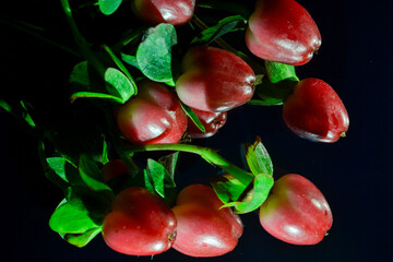 Vibrant Red Cranberries and Green Leaves Artistically Lit on a Dark Reflective Background