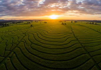 Sunrise over terraced rice paddy field