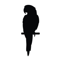 Elegant black-and-white parrot illustration, suitable for digital designs, print media, or web applications.