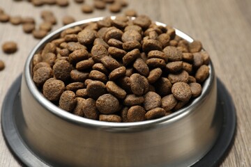 Dry pet food in feeding bowl on floor, closeup