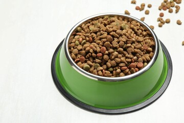 Dry pet food in feeding bowl on light background, closeup