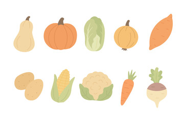 A collection of various vegetables including squash, pumpkins, carrots, corn, and cabbage