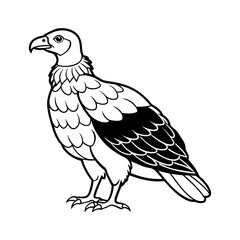 details turkey vulture vector silhouette