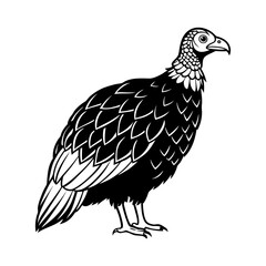 details turkey vulture vector silhouette