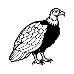 details turkey vulture vector silhouette
