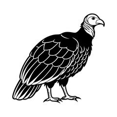 details turkey vulture vector silhouette