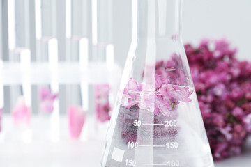 Making luxury perfume. Essential oils in glassware and flowers on table, closeup