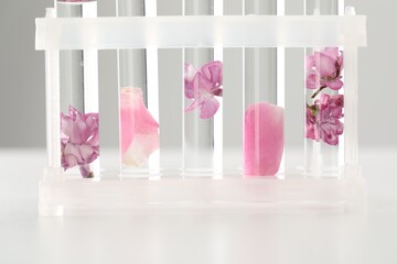Making luxury perfume. Essential oils in test tubes and flowers on white table, closeup