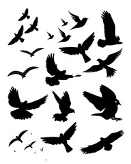 black bird art