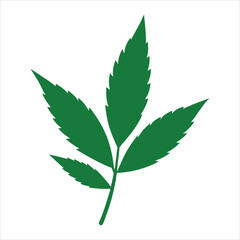 cannabis leaf vector illustration