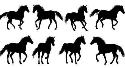 Set of horse silhouettes isolated on transparent background	