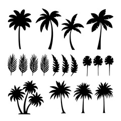 Collection of tropical palm tree silhouettes isolated on transparent background