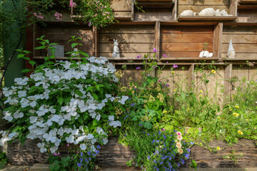 様々な花が咲く初夏のガーデニング