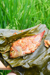 Processed tilapia fish steamed using banana leaves and cooked traditionally