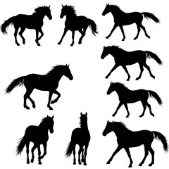 Set of horse silhouettes isolated on transparent background