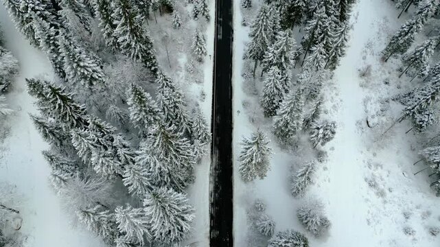 Predil valley. Winter on the valley, a gem nestled in the Julian Alps.