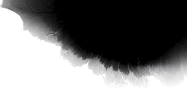 Black ink and ink splashing effect on white paper, black paint spreading mask alpha matte effect and background

