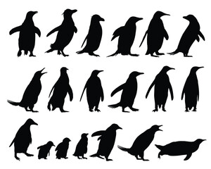 Set of silhouettes of wild penguins.

