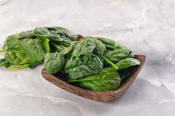 Raw green baby spinach plant