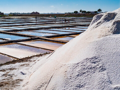 Geometric salt evaporation ponds with white salt piles in foreground, Aveiro, Portugal