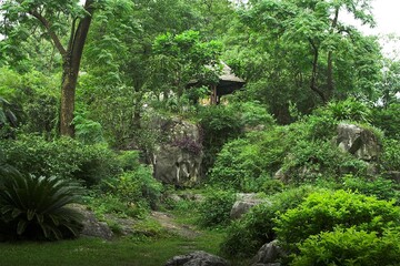 Chiny Guilin - Skałki porośnięte tropikalną roślinnością