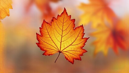 Fototapeta premium A stunning orange leaf showcasing autumn's colorful beauty.