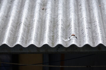 Detailed photo of asbestos roof of a house