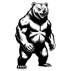 Obraz premium brown bear vector