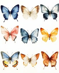 Delicate watercolor butterflies with natural details