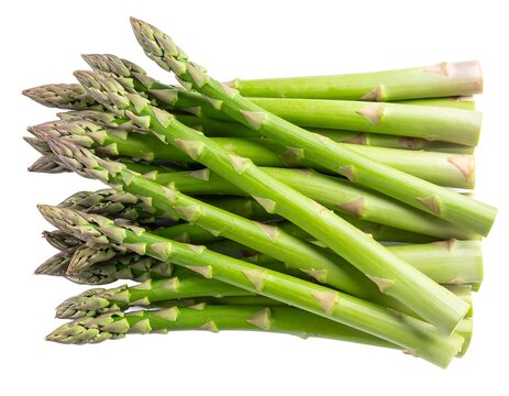 Fresh asparagus bunch (1)