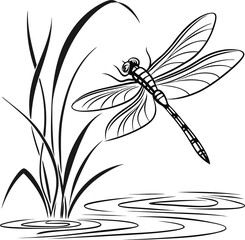 Green dragonfly with detailed wings, an insect on a white flower or isolated background, perfect for nature, macro, or wildlife themes