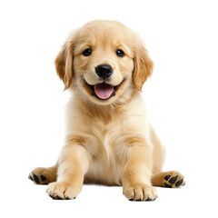 Obraz premium A cute Golden Retriever puppy sits with a joyful expression, exuding happiness and charm in a captivating portrait.