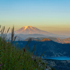 mount fuji in autumn