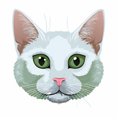 Obraz premium vector illustration of a cat