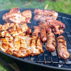 Juicy barbecue meat on the grill, close view, summer barbecue bliss background