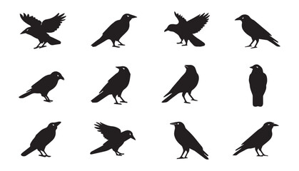 Obraz premium A set of Crow silhouette flat icon collection. vector black silhouette of crow 